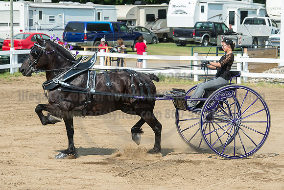 2016_Saratoga_SCL_5272