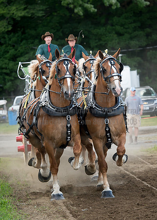 2016_Saratoga_SCL_4795