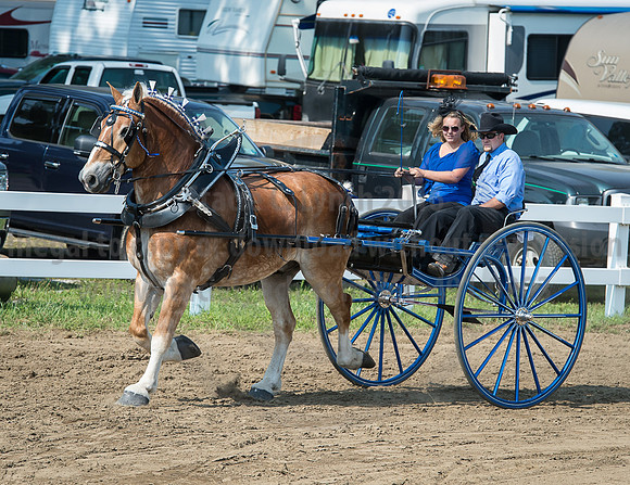 2016_Saratoga_SCL_5275