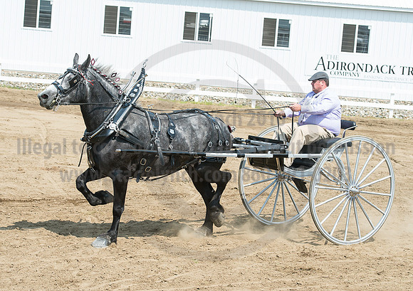 2016_Saratoga_SCL_5191