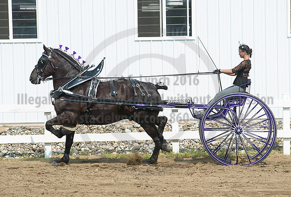 2016_Saratoga_SCL_5246