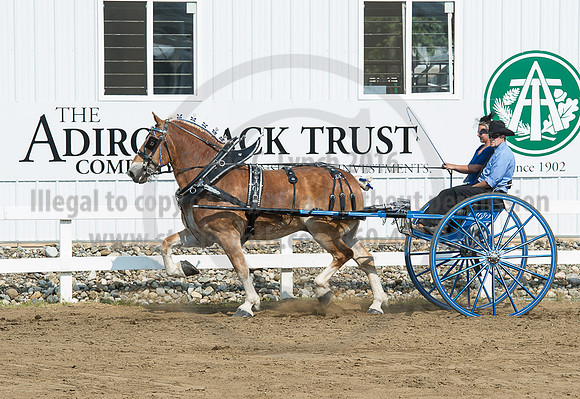 2016_Saratoga_SCL_5284