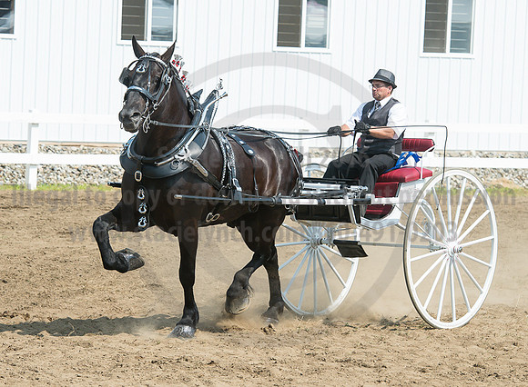 2016_Saratoga_SCL_5239