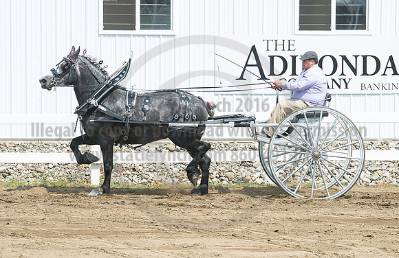 2016_Saratoga_SCL_5188