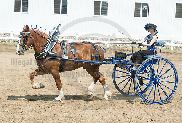 2016_Saratoga_SCL_5207