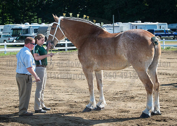 2016_Saratoga_SCL_4911