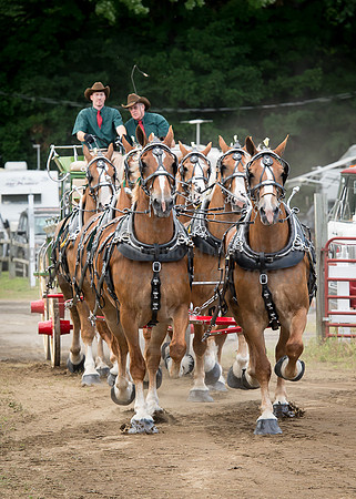 2016_Saratoga_SCL_4702