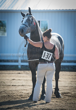 2016_Saratoga_SCL_4915