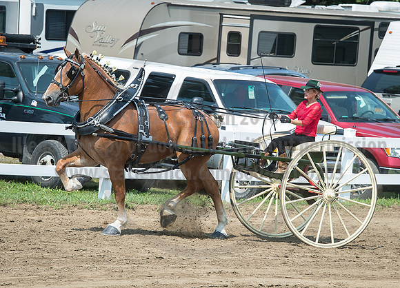 2016_Saratoga_SCL_5199