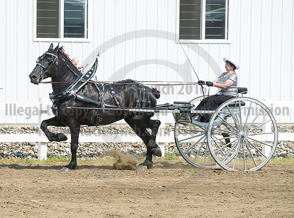 2016_Saratoga_SCL_5244