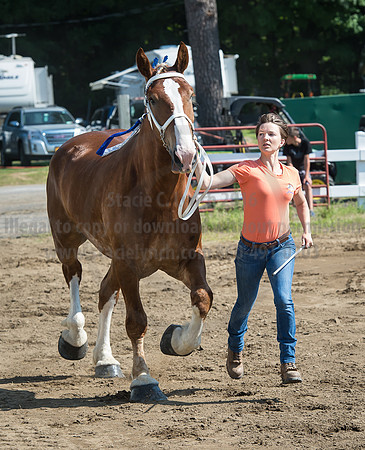 2016_Saratoga_SCL_4964