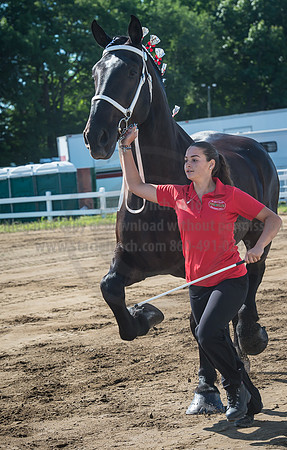 2016_Saratoga_SCL_4929