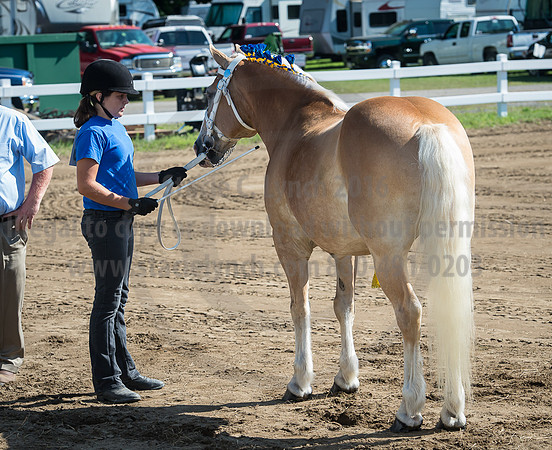 2016_Saratoga_SCL_4936