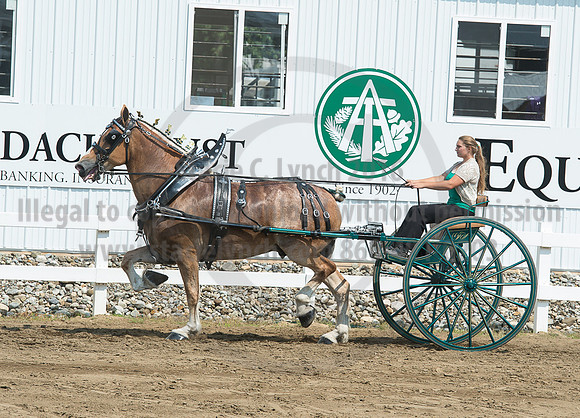 2016_Saratoga_SCL_5204