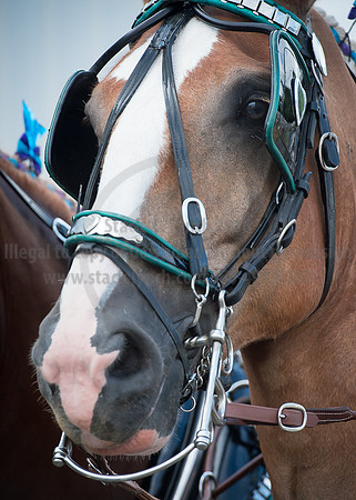 2016_Saratoga_SCL_4683