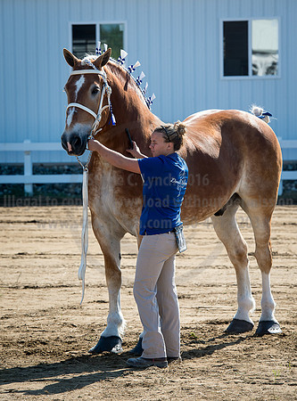 2016_Saratoga_SCL_4927