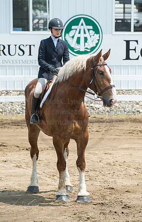 2016_Saratoga_SCL_5061