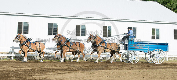 2016_Saratoga_SCL_4760