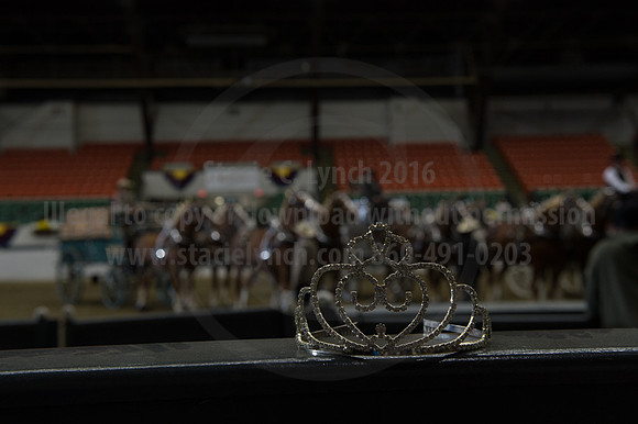 NABC8_10132016_SCL_7841