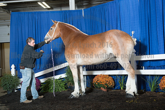 NABC8_10152016_SCL_1932