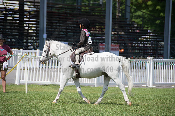 2016DCF_08262016_SCL_0476