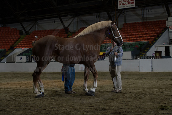 NABC8_10152016_SCL_1850