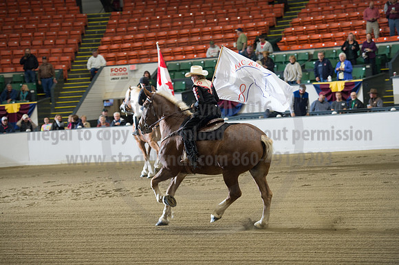 NABC8_10132016_SCL_7044