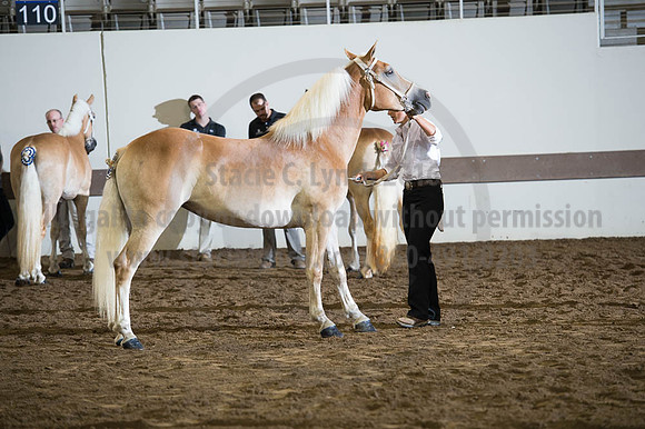 ISF_08192016_SCL_4427