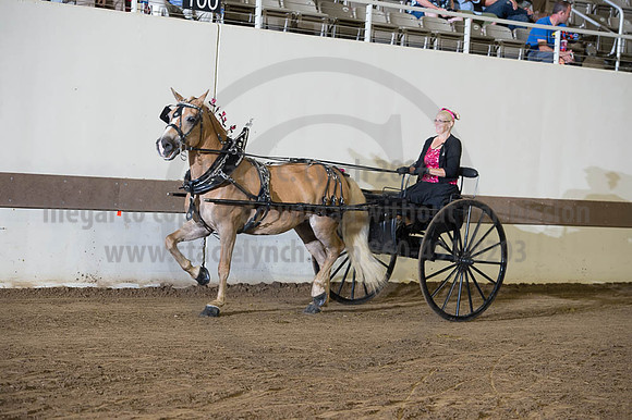 ISF_08192016_SCL_6204