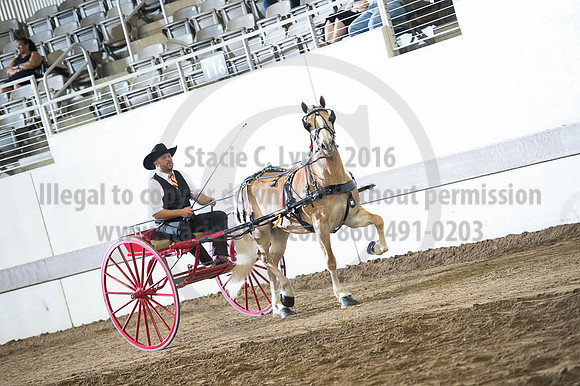 ISF_08192016_SCL_6198