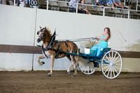 Haflinger Mare Cart
