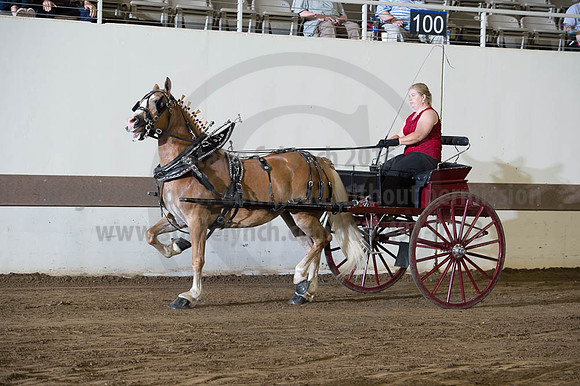 ISF_08192016_SCL_6163