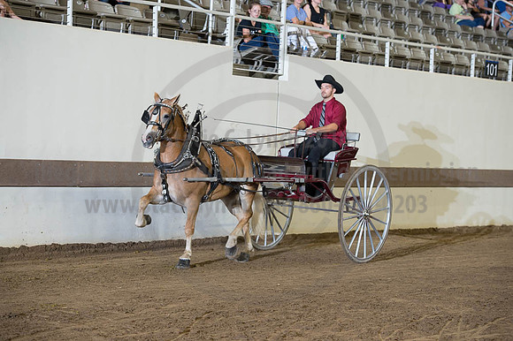 ISF_08192016_SCL_6176