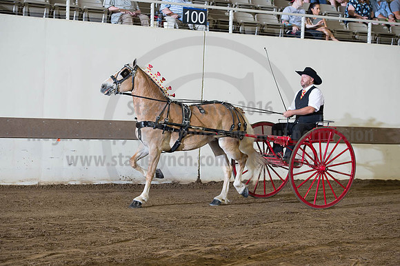 ISF_08192016_SCL_6165
