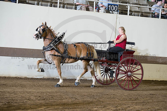 ISF_08192016_SCL_6171