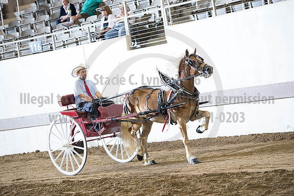 ISF_08192016_SCL_6232