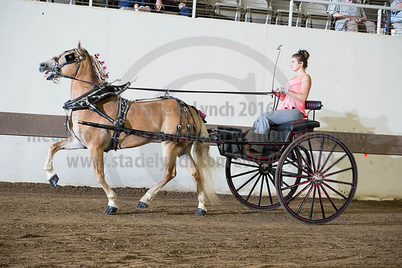 ISF_08192016_SCL_6169
