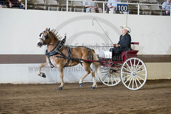 ISF_08192016_SCL_6164