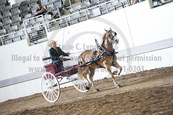 ISF_08192016_SCL_6189