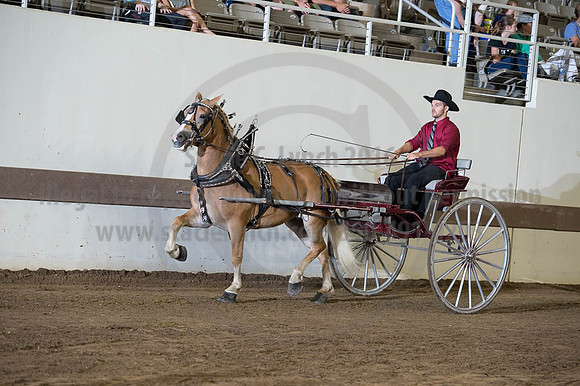 ISF_08192016_SCL_6160