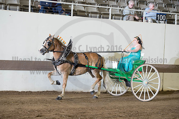 ISF_08192016_SCL_6208