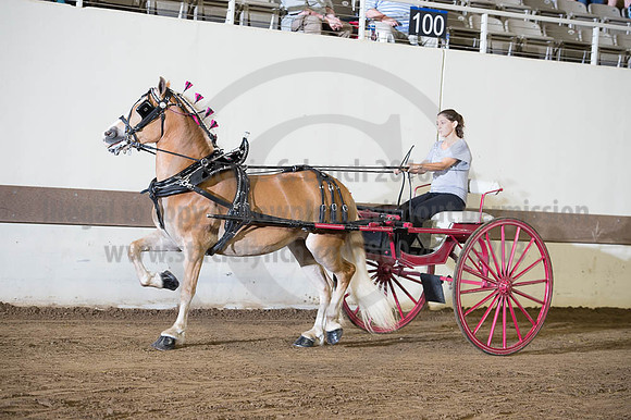 ISF_08192016_SCL_6201