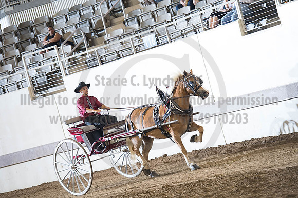 ISF_08192016_SCL_6193