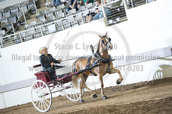 ISF_08192016_SCL_6197