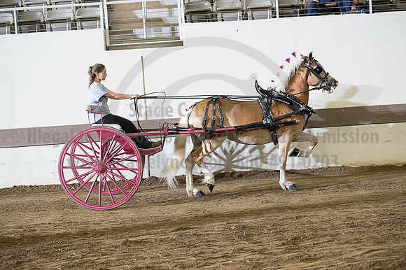 ISF_08192016_SCL_6235
