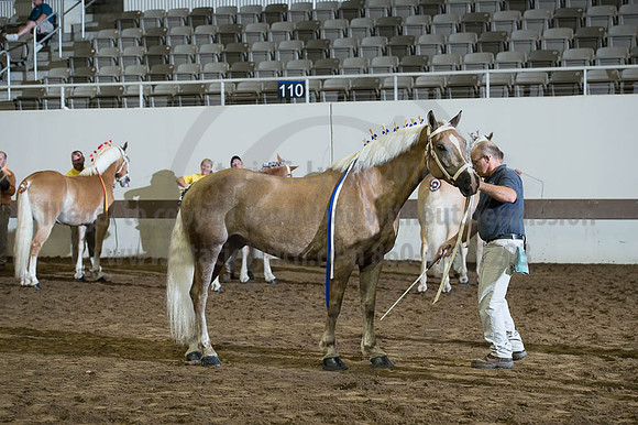ISF_08192016_SCL_4729
