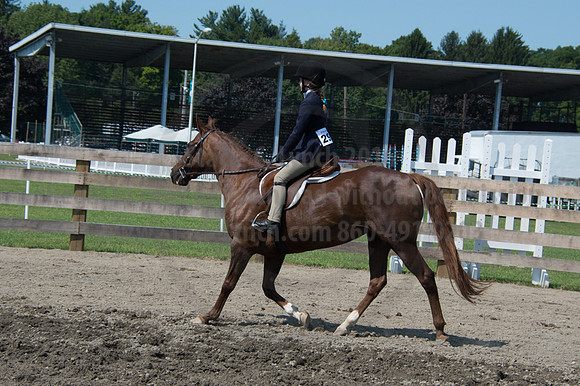 2016DCF_08242016_SCL_8771