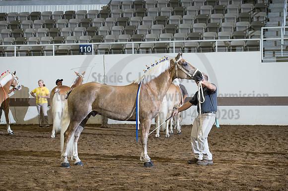 ISF_08192016_SCL_4733