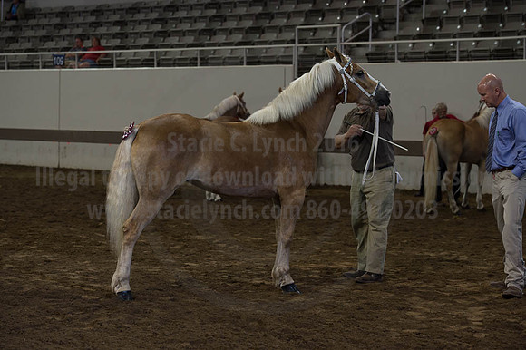 ISF_08192016_SCL_4291