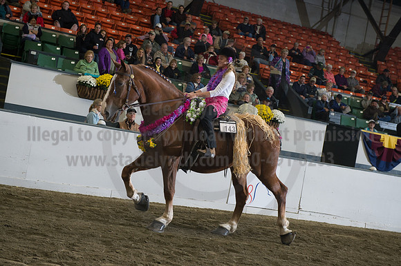 NABC8_10142016_SCL_8859